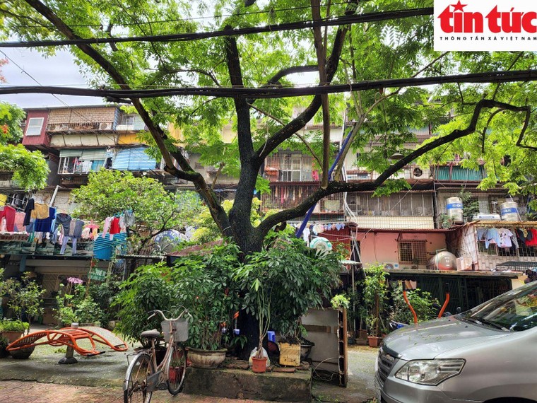 'Chuồng cọp' chung cư cũ - lợi bất cập hại ảnh 7