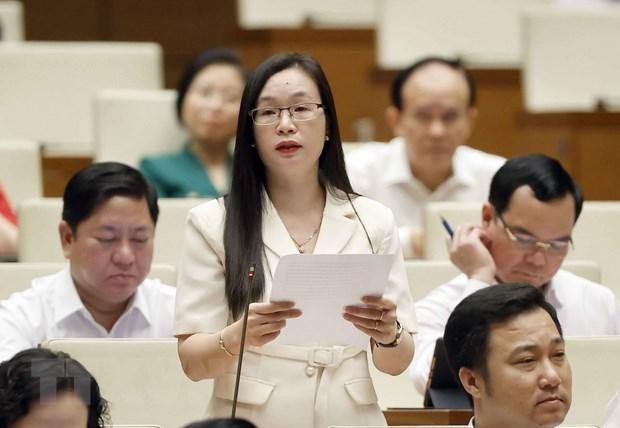 ĐBQH đề nghị tháo gỡ vướng mắc về đấu thầu thuốc và vật tư y tế ảnh 1