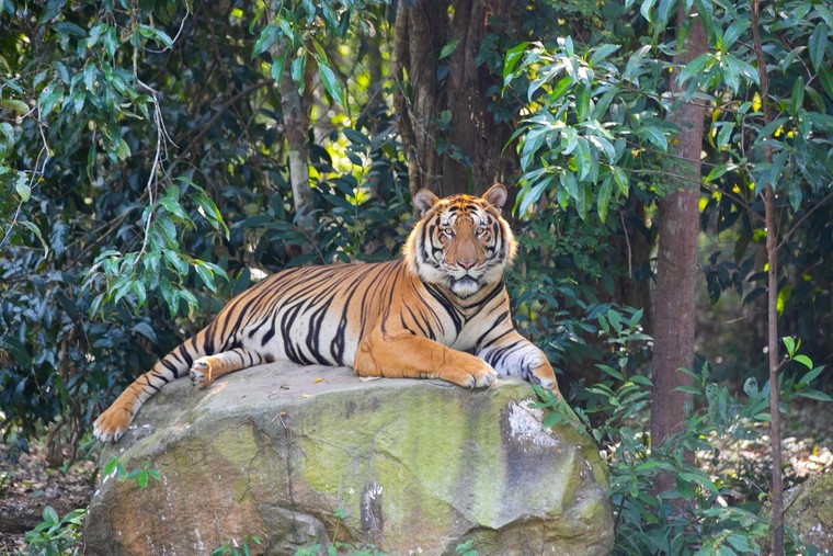 Xuyên không đón ‘Tết chất’ khắp 3 miền VinWonders ảnh 2