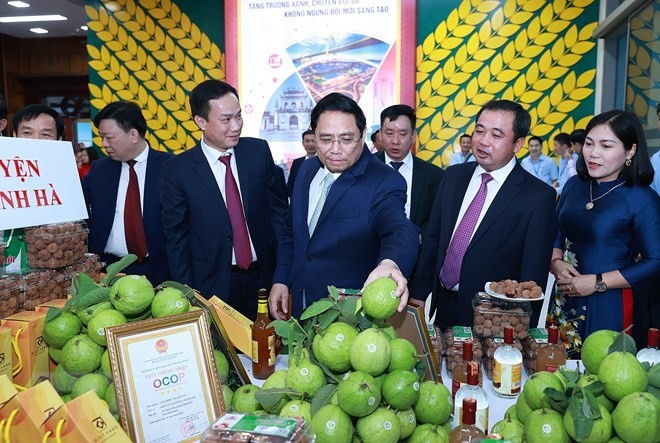 Cần đổi mới tư duy từ sản xuất nông nghiệp sang 'kinh tế nông nghiệp' ảnh 3