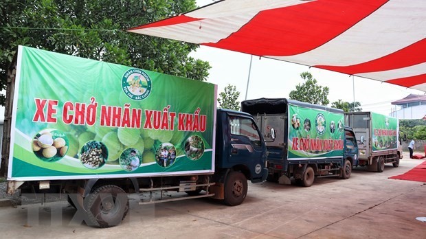 Việt Nam-Australia: Quan hệ song phương chuyển biến quan trọng về chất ảnh 1