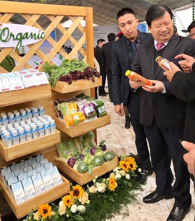 Tập đoàn TH khởi công dự án 3000 tỷ đồng tại Thái Bình ảnh 3