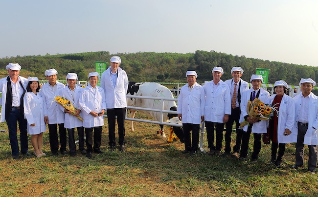 Tập đoàn TH tiên phong làm sữa hữu cơ ảnh 1