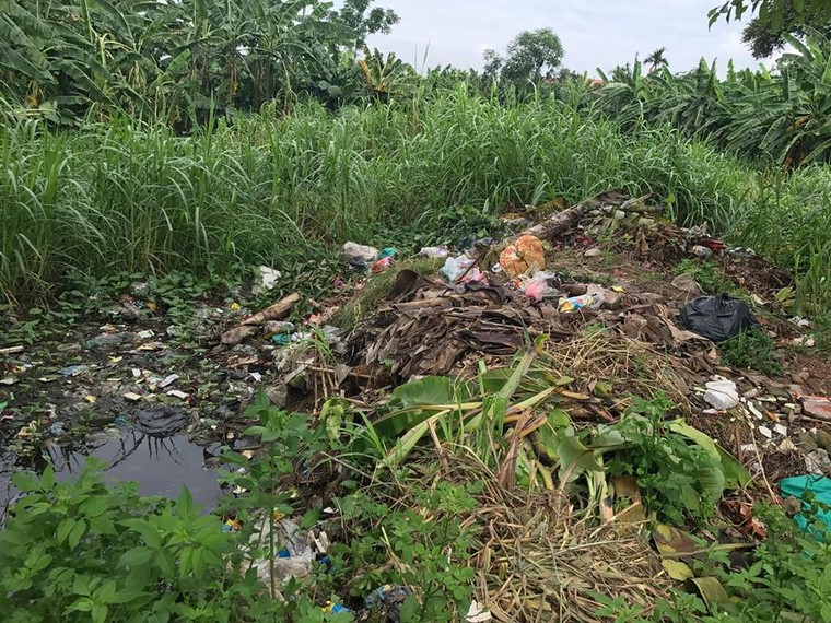 Vĩnh Thịnh: Hiểm hoạ ô nhiễm môi trường do nuôi bò sữa ảnh 3