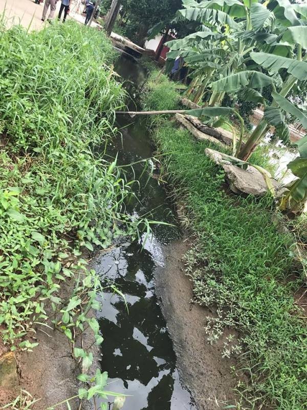 Vĩnh Thịnh: Hiểm hoạ ô nhiễm môi trường do nuôi bò sữa ảnh 2