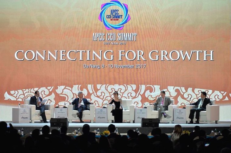 Nữ tỷ phú hàng không muốn kết nối mạng bay toàn cầu ảnh 2