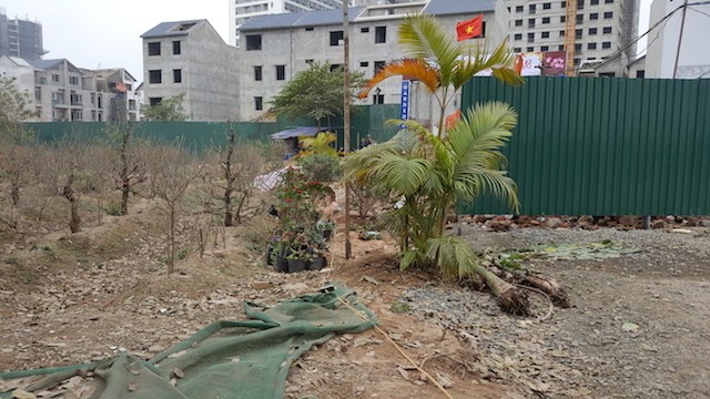 Doanh nghiệp kêu cứu vì bị phường ‘gây khó dễ’ ảnh 1