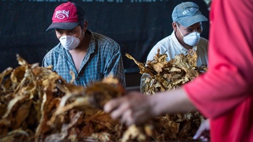 Đòn thương mại của Trung Quốc giáng vào người ủng hộ Trump ảnh 1