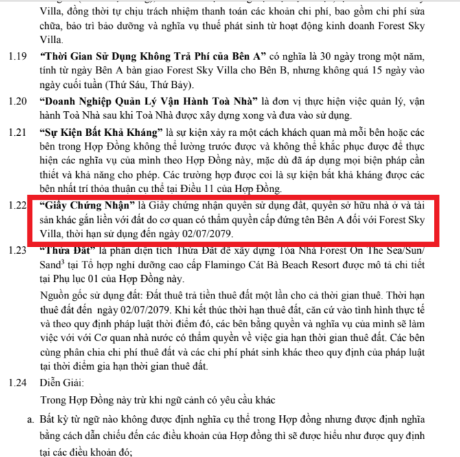 Quảng cáo cấp sổ hồng cho dự án: Flamingo lừa dối khách hàng? ảnh 1