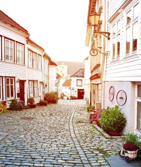 Biệt thự, nhà phố thương mại dự án tỷ đô tiếp tục hút giới đầu tư ảnh 3