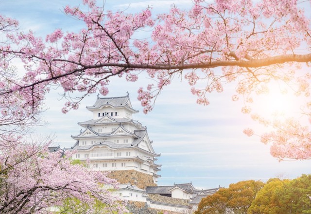 1 triệu vé Vietjet giờ vàng, chào đường bay mới đến Osaka và Siem Reap ảnh 1