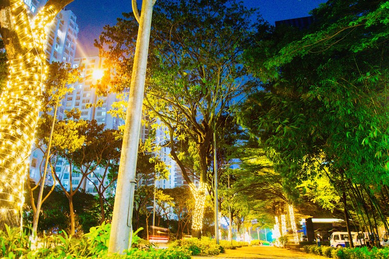 Khu đô thị Dragon City lộng lẫy, kỳ ảo trong mùa Giáng sinh ảnh 8