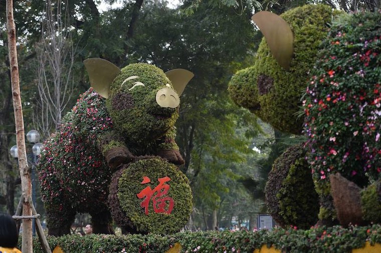 Người dân thích thú chụp ảnh với ‘chú heo vui vẻ’ làm bằng hoa lập thể khổng lồ ảnh 1