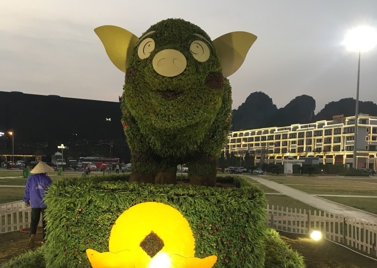 Người dân thích thú chụp ảnh với ‘chú heo vui vẻ’ làm bằng hoa lập thể khổng lồ ảnh 6