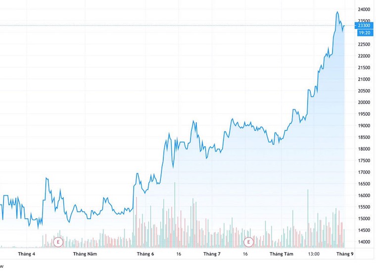 CRE tăng giá: Điểm sáng cổ phiếu BĐS thời Covid-19 ảnh 1