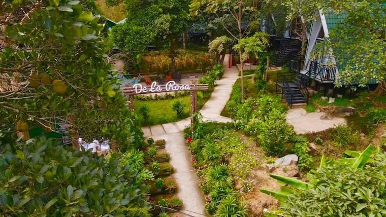 Du lịch Côn Đảo: Máy bay kín chỗ, khách sạn kín phòng ảnh 7