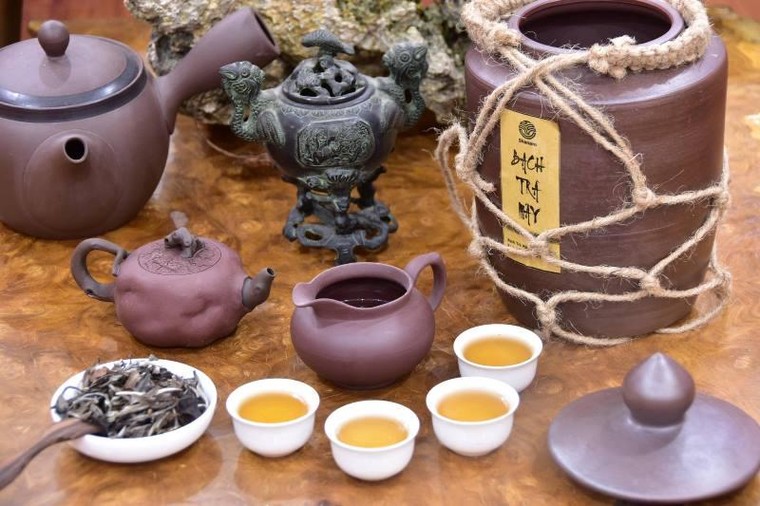 Shanam mở Showroom, ra mắt trà Shan tuyết cổ thụ ủ lạnh ảnh 2