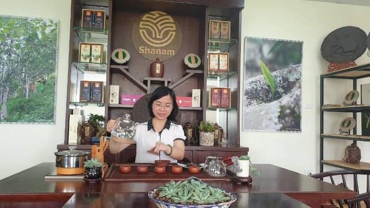Shanam mở Showroom, ra mắt trà Shan tuyết cổ thụ ủ lạnh ảnh 1