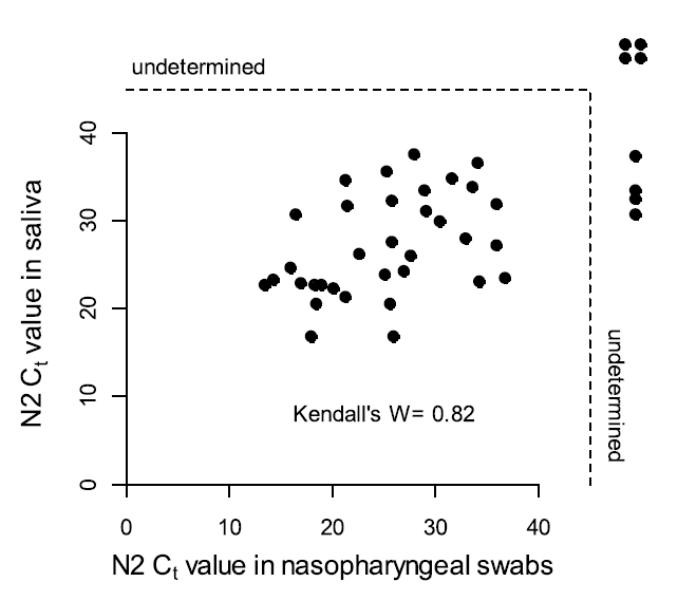 Xét nghiệm SARS-CoV-2 qua nước bọt chính xác tương đương lấy dịch tỵ họng/hầu. ảnh 2