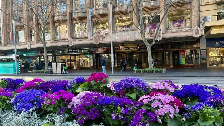 Du lịch Úc dễ dàng với đường bay thẳng của Bamboo Airways ảnh 3