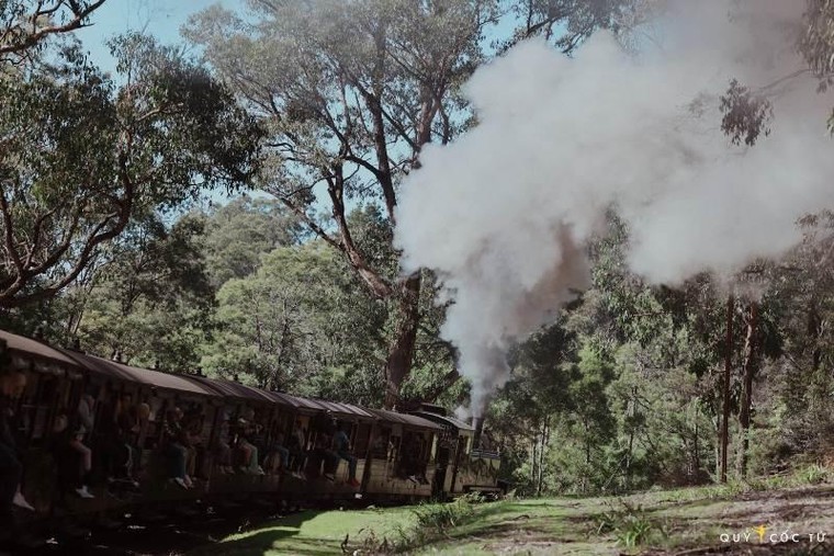 Puffing Billy Railway –Tàu lửa hơi nước trăm năm tuổi đáng đi nhất thế giới ảnh 5