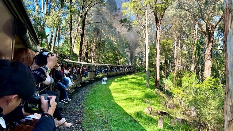 Puffing Billy Railway –Tàu lửa hơi nước trăm năm tuổi đáng đi nhất thế giới ảnh 10