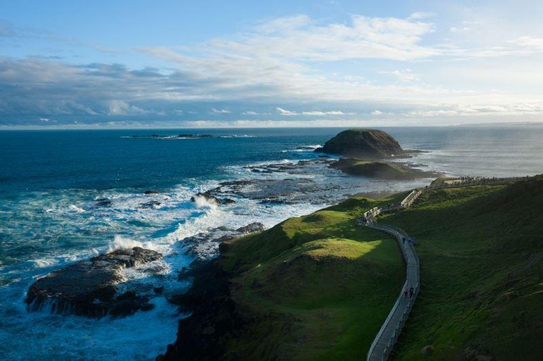 Ngắm trọn Phillip Island từ trực thăng và cuộc diễu hành của chim cánh cụt ảnh 8
