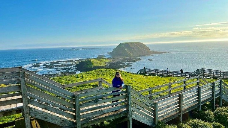 Ngắm trọn Phillip Island từ trực thăng và cuộc diễu hành của chim cánh cụt ảnh 4