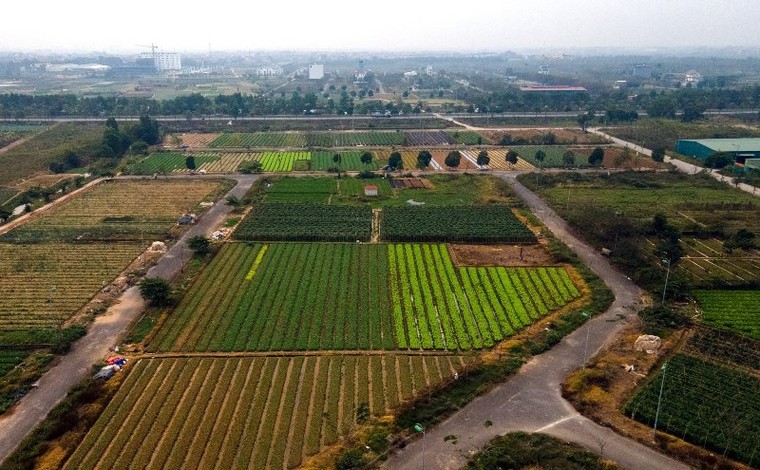 Mê Linh bứt tốc tới mục tiêu cực tăng trưởng mới của thành phố Bắc sông Hồng ảnh 6