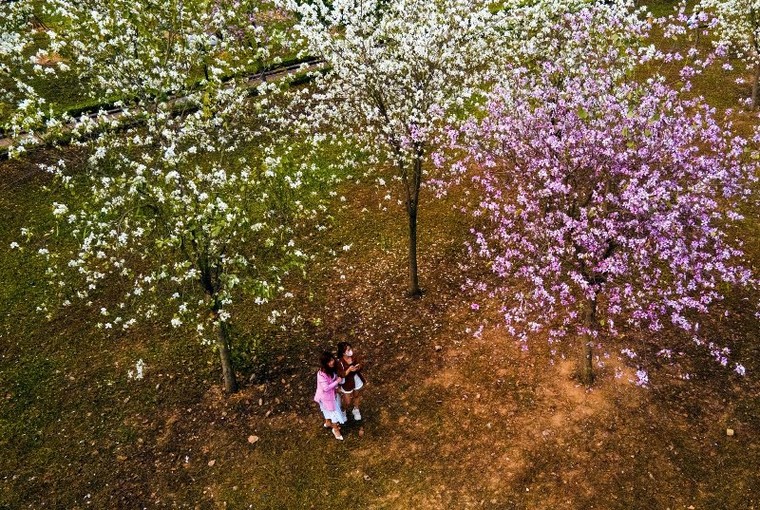 Mê Linh bứt tốc tới mục tiêu cực tăng trưởng mới của thành phố Bắc sông Hồng ảnh 1