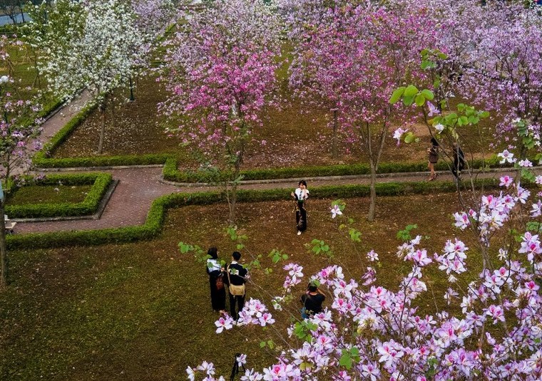 Mê Linh bứt tốc tới mục tiêu cực tăng trưởng mới của thành phố Bắc sông Hồng ảnh 9