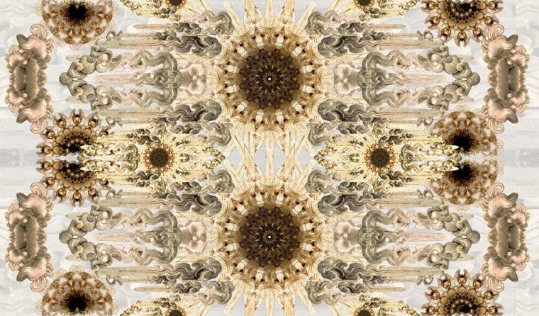 Đưa 9 bảo vật quốc gia lên lụa tơ tằm Việt Nam ảnh 5