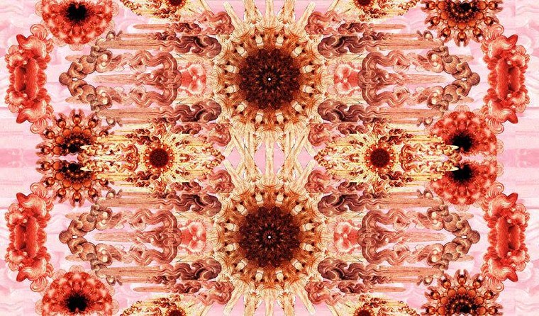 Đưa 9 bảo vật quốc gia lên lụa tơ tằm Việt Nam ảnh 4