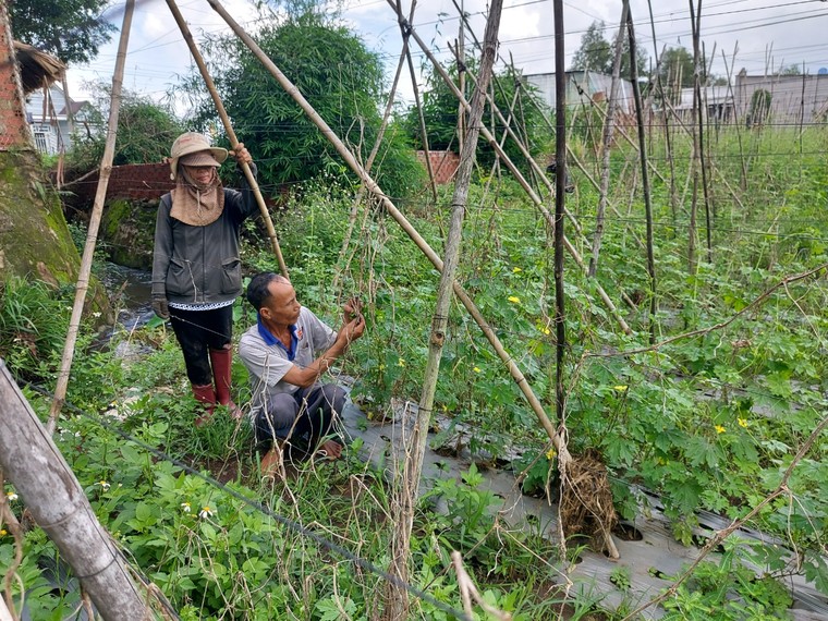 Đồng Nai: Người dân than khóc vì tình trạng ngang nhiên xây cản dòng chảy gây ngập úng ảnh 1
