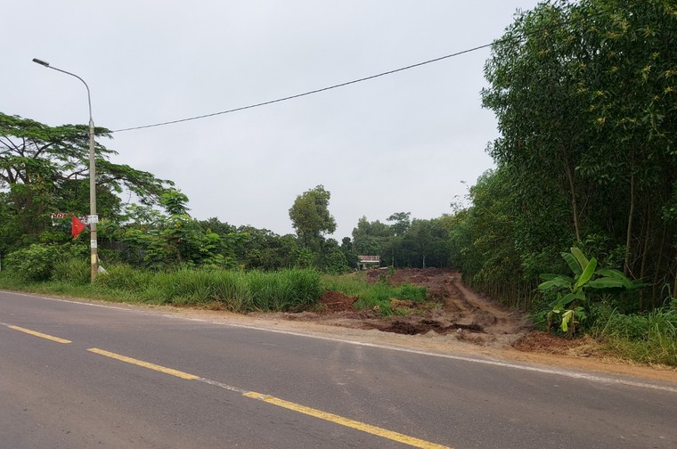 Đồng Nai: Ôm cua, xe đầu kéo “ném” thùng container vào nhà dân ảnh 1