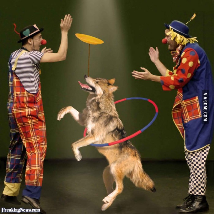 Sân khấu xiếc thiếu động vật có còn hấp dẫn? ảnh 1