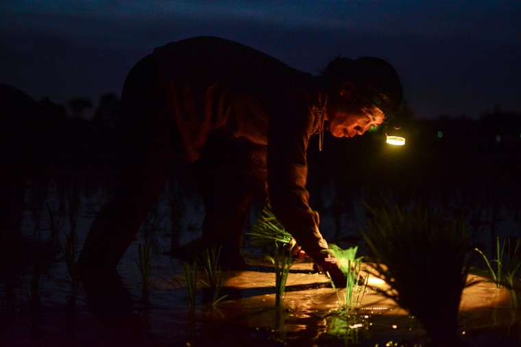 Mồ hôi thánh thót như mưa ruộng cày ảnh 5