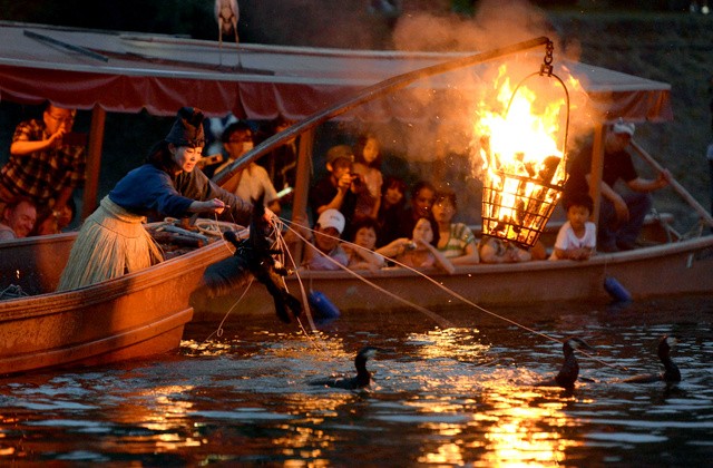 Cách đánh cá độc đáo của người Nhật được UNESCO vinh danh ảnh 1