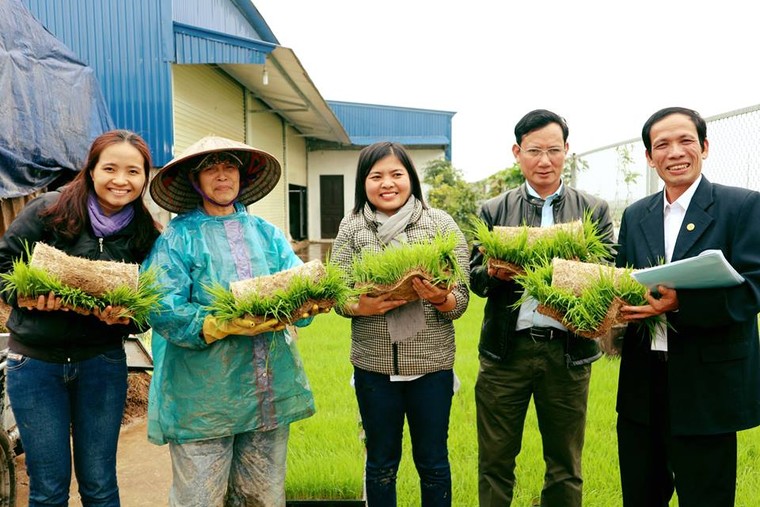 Đi tìm 'hạt ngọc vàng' trên những cánh đồng rươi ảnh 1