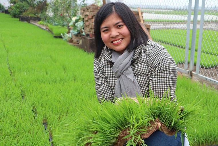 Đi tìm 'hạt ngọc vàng' trên những cánh đồng rươi ảnh 2