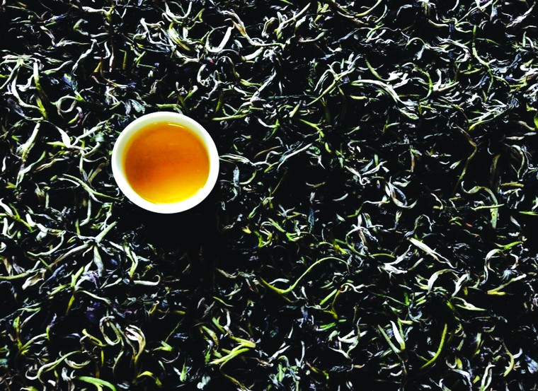 Uống trà cùng ai? ảnh 3