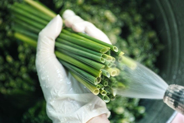 Điều kì diệu từ ống hút bằng cỏ ảnh 2