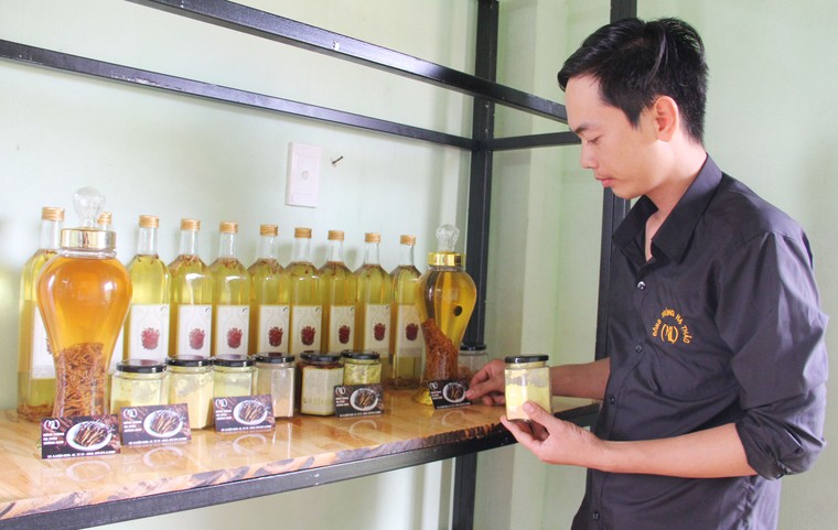 Cử nhân thể dục thể thao 9X 'bén duyên' với đông trùng hạ thảo ảnh 1