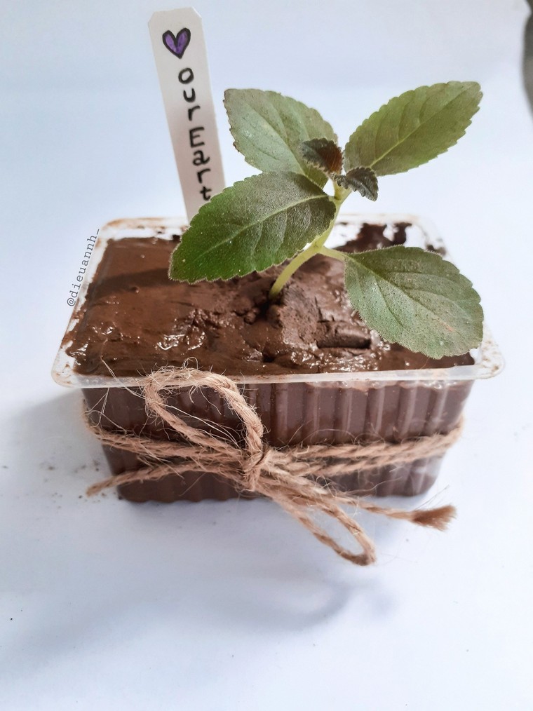 Chung tay vì môi trường của cộng đồng người hâm mộ BTS ảnh 2