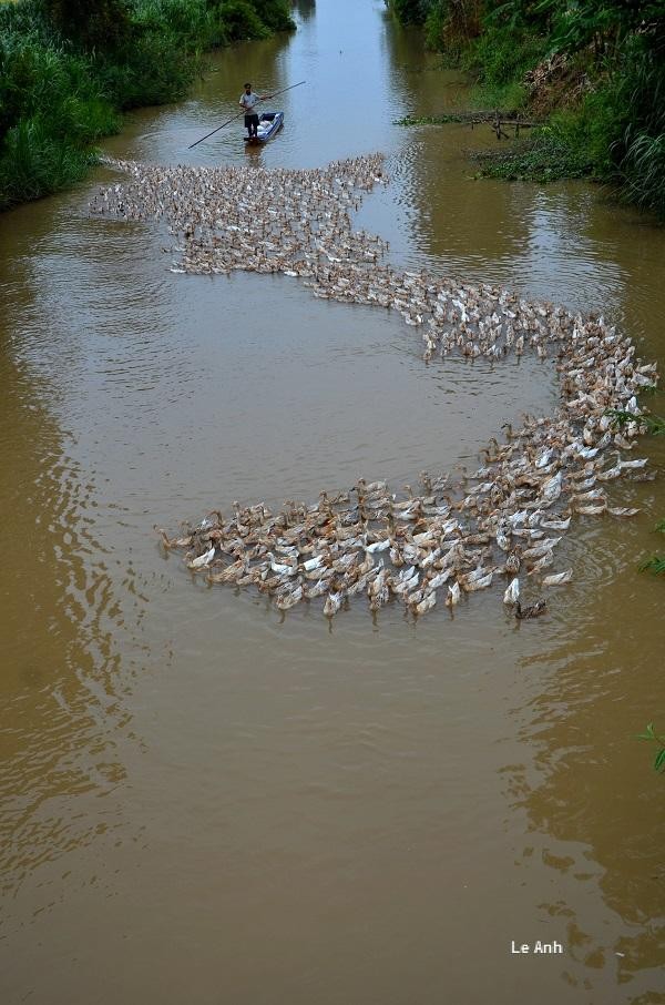 Miền Tây dung dị qua góc ảnh của một thầy giáo ảnh 6