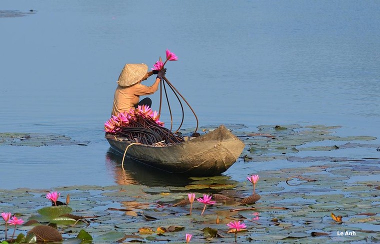 Miền Tây dung dị qua góc ảnh của một thầy giáo ảnh 1