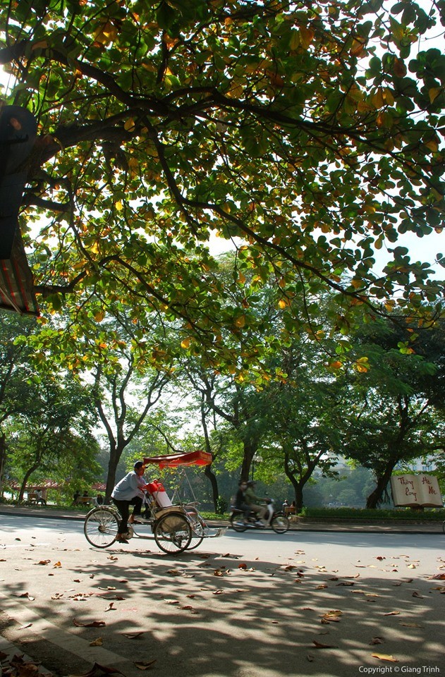 Nhiều hoạt động kỷ niệm 20 năm Hà Nội - Thành phố vì hòa bình ảnh 2