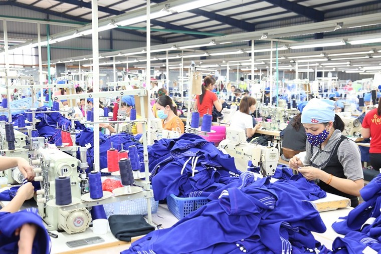 Việc nhiều, lao động kén cá chọn canh ảnh 3