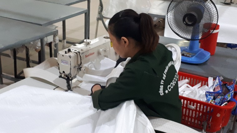 Nâng cao trình độ lao động, việc không thể chần chừ ảnh 1