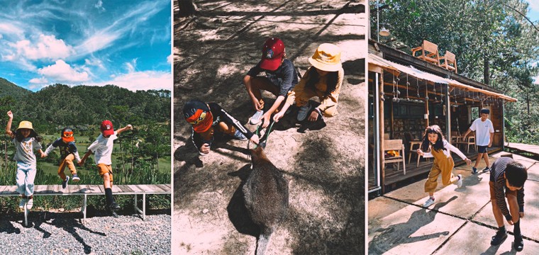 Đừng bắt con phải vui theo người lớn ảnh 1